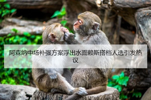 阿森纳中场补强方案浮出水面赖斯搭档人选引发热议